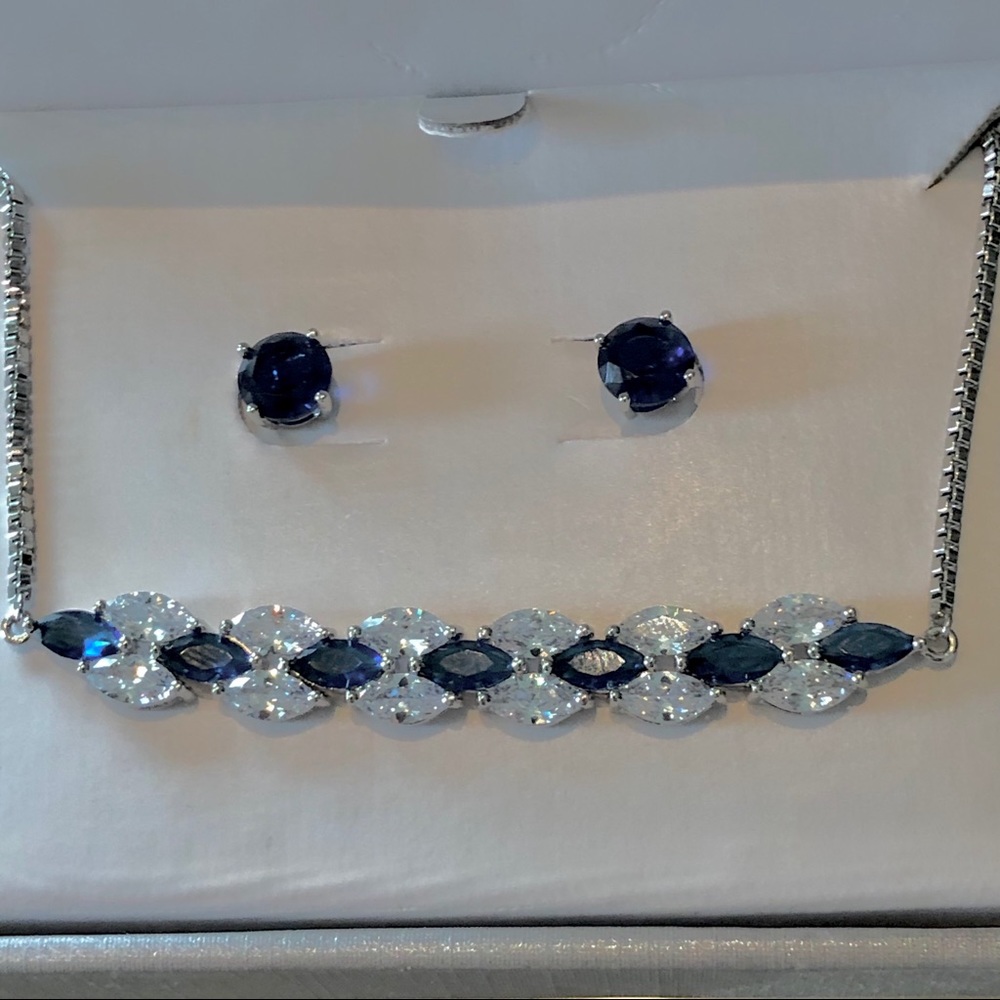 NWOT White and blue bracelet  and earrings set